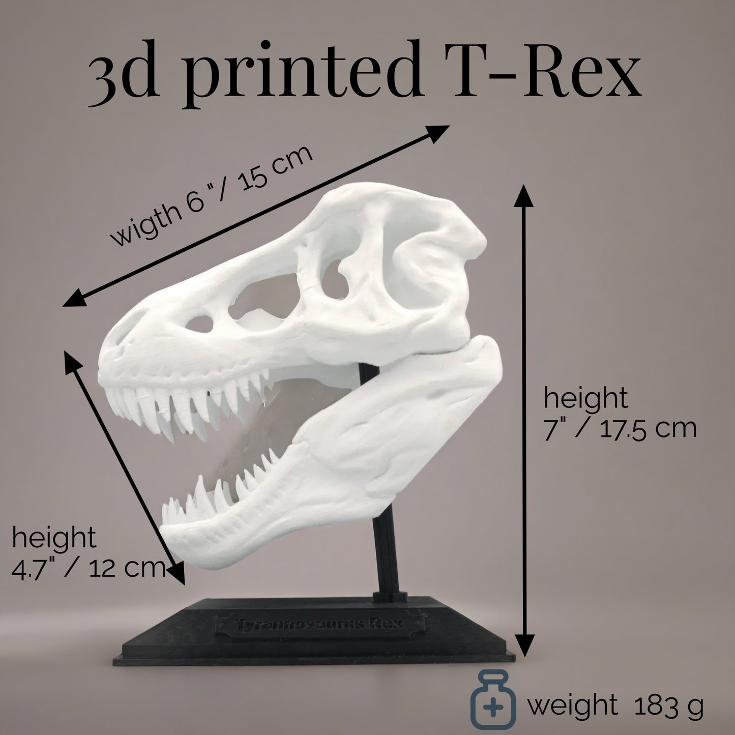 Tyrannosaurus Rex Skull Model – Fun & Educational Dinosaur Decor for Kids