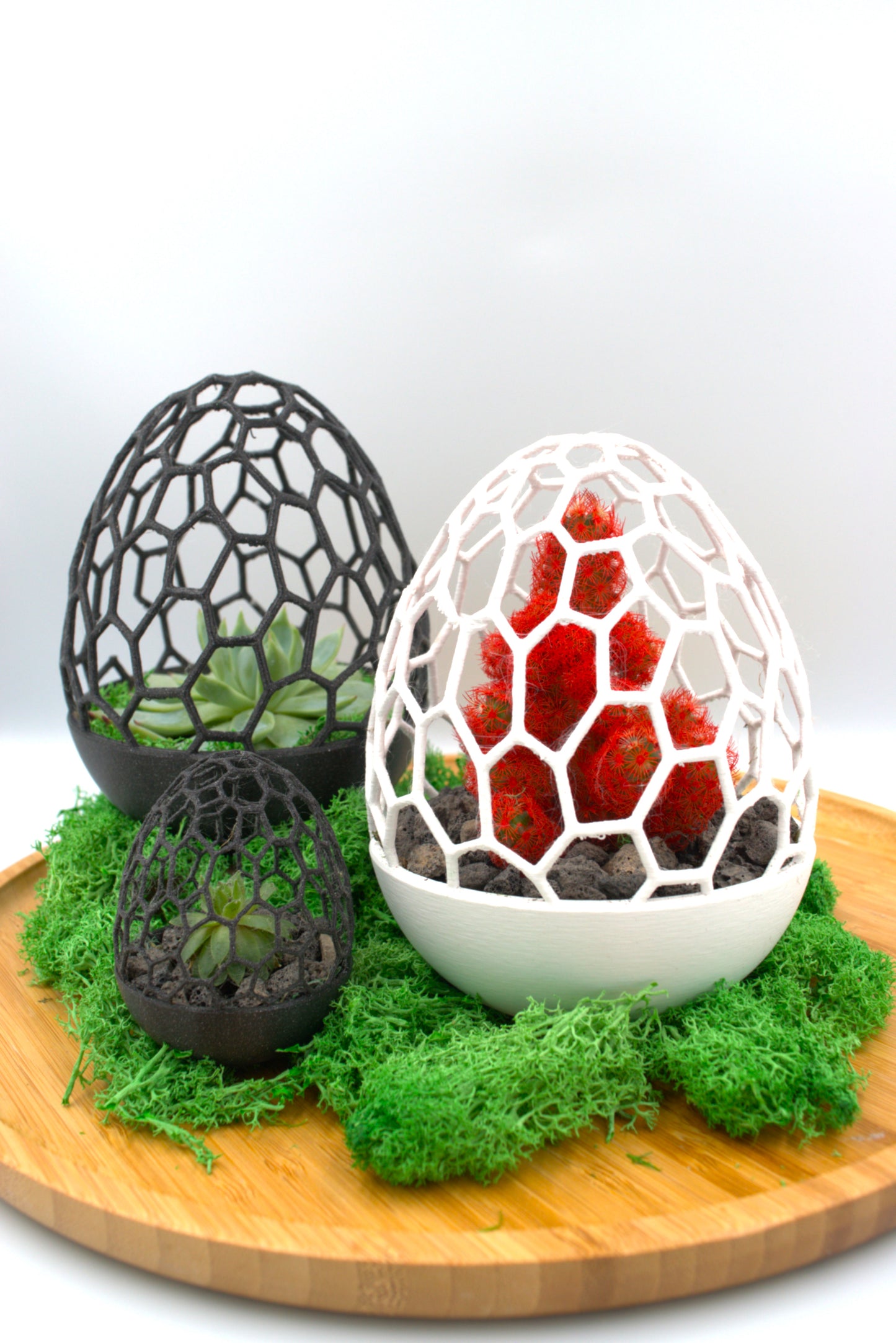 Geometric Egg Planter – Unique Modern Home for Succulents & Cacti