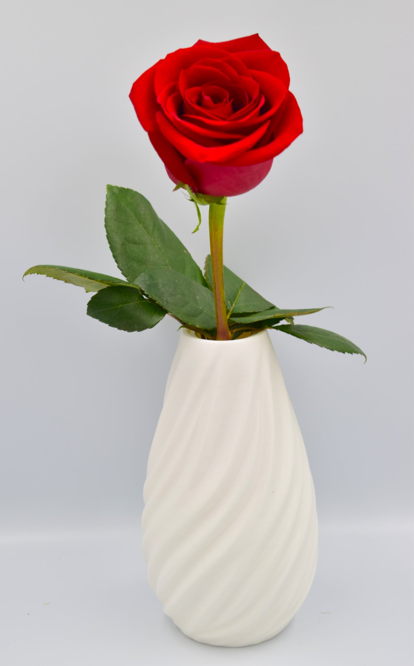 Waterproof Versatile Vase – Elegant Design for Fresh & Dried Flowers