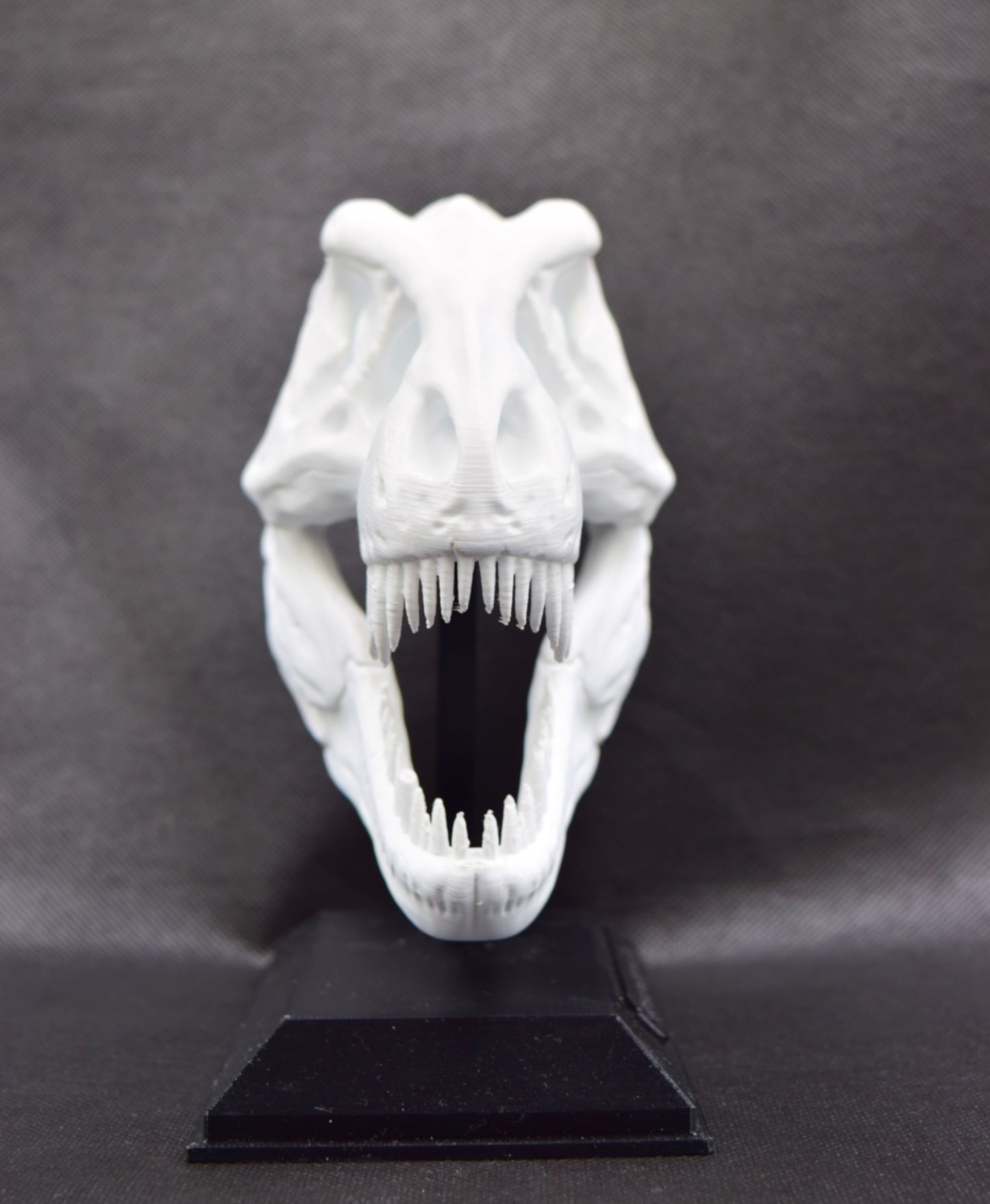 Tyrannosaurus Rex Skull Model – Fun & Educational Dinosaur Decor for Kids