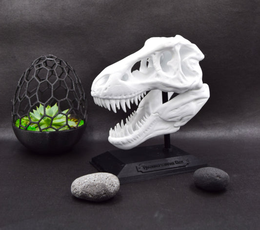 Tyrannosaurus Rex Skull Model – Fun & Educational Dinosaur Decor for Kids