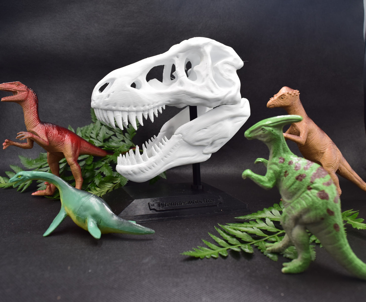 Tyrannosaurus Rex Skull Model – Fun & Educational Dinosaur Decor for Kids