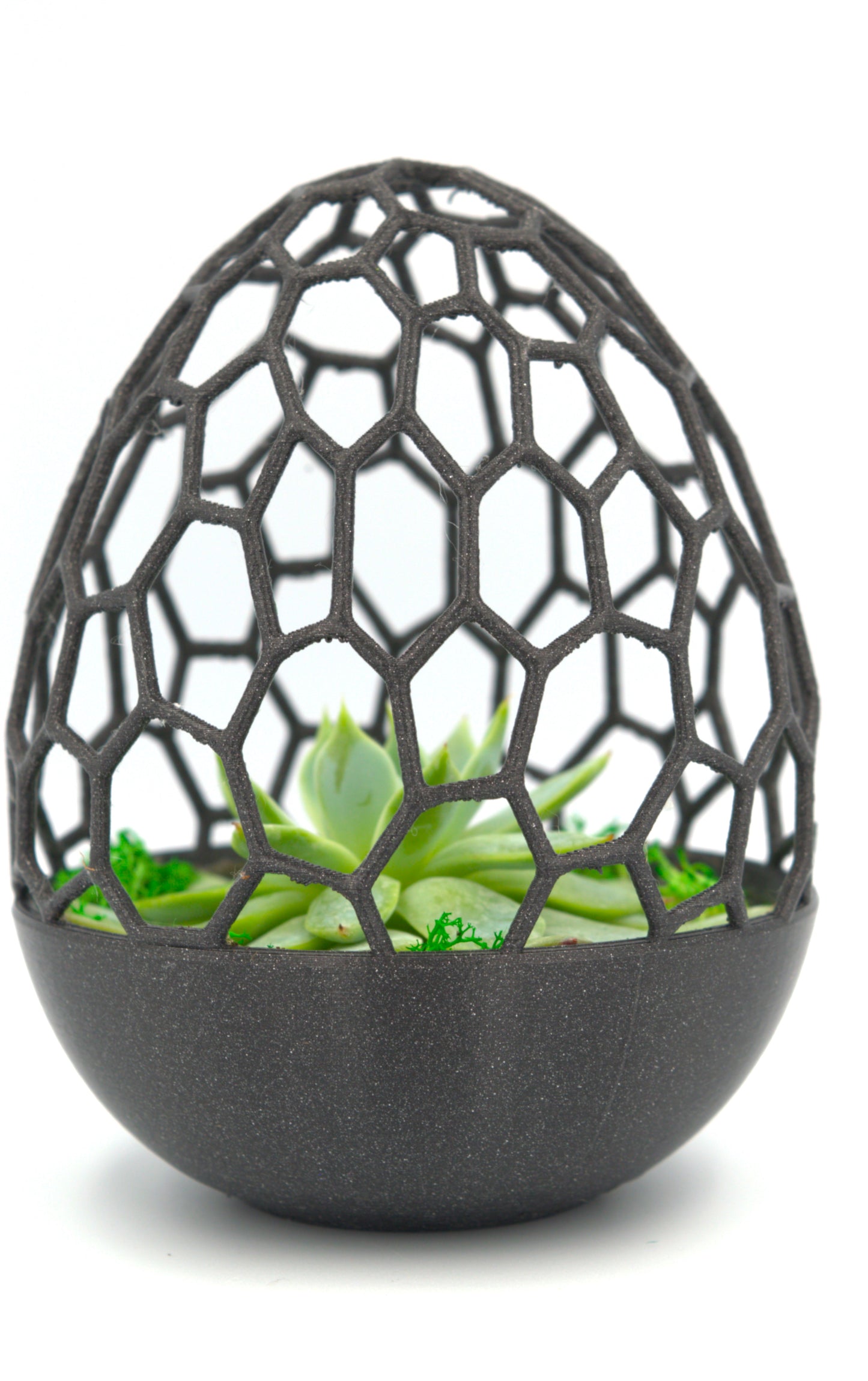 Geometric Egg Planter – Unique Modern Home for Succulents & Cacti