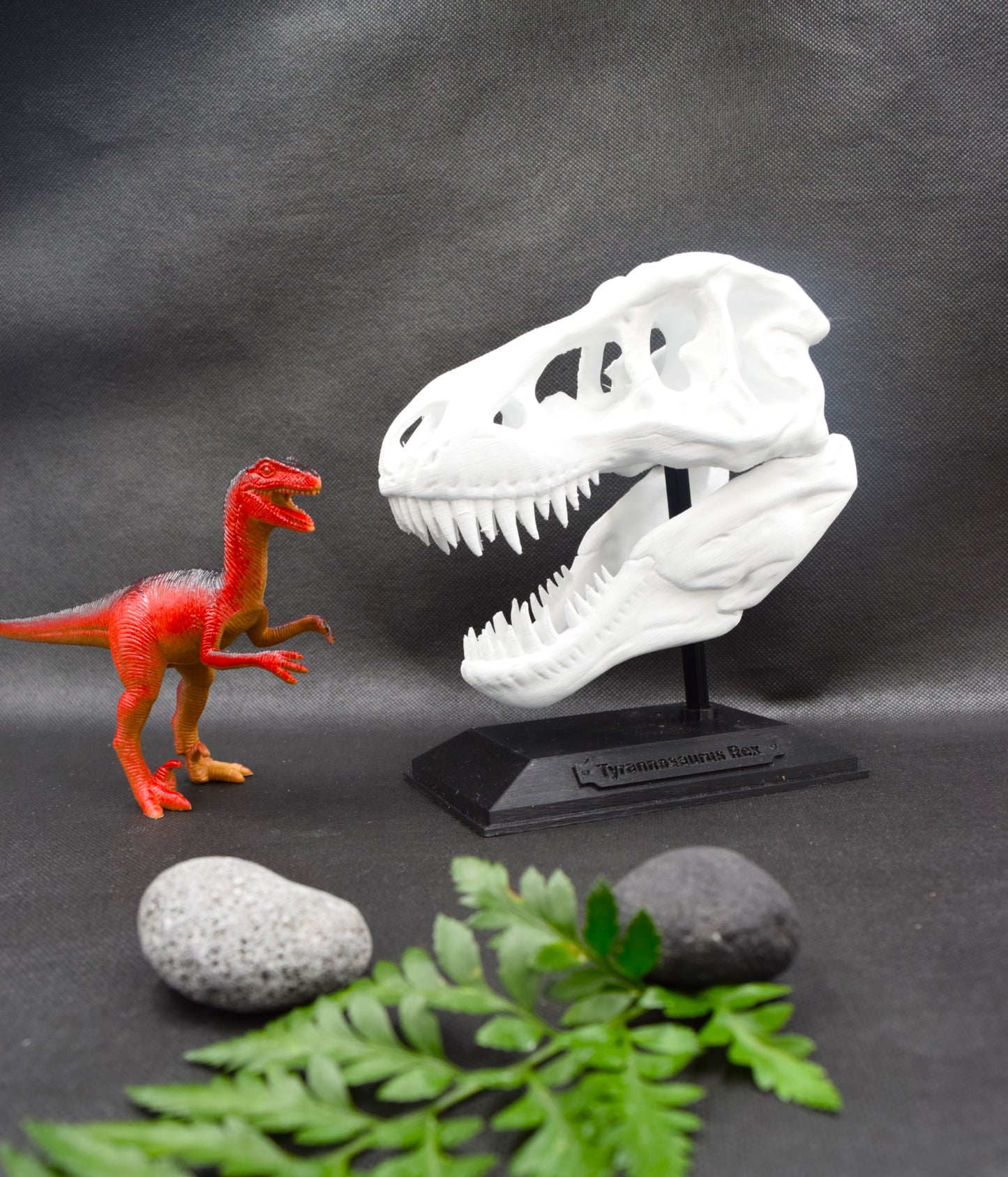 Tyrannosaurus Rex Skull Model – Fun & Educational Dinosaur Decor for Kids