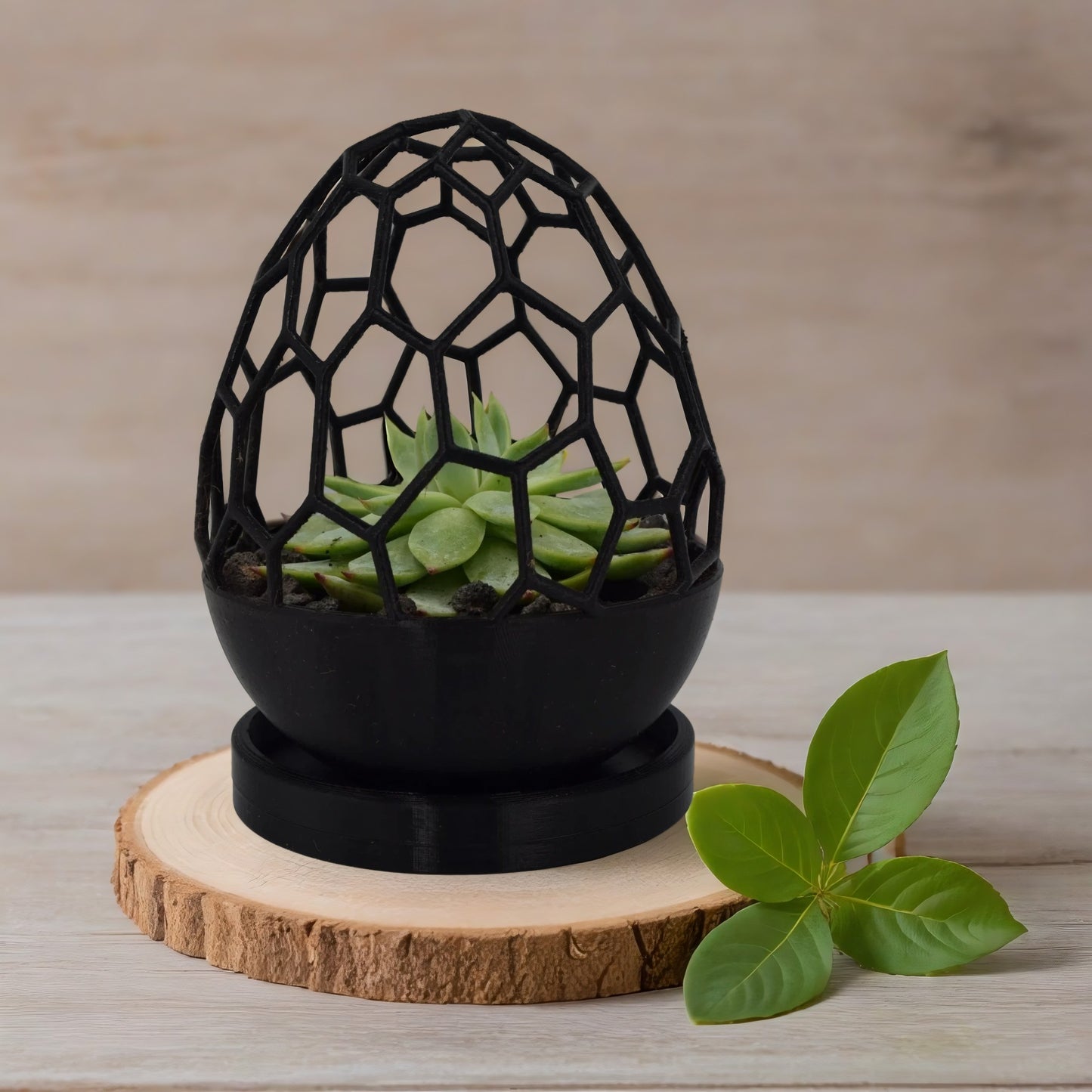 Geometric Egg Planter – Unique Modern Home for Succulents & Cacti