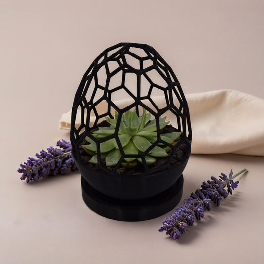 Geometric Egg Planter – Unique Modern Home for Succulents & Cacti