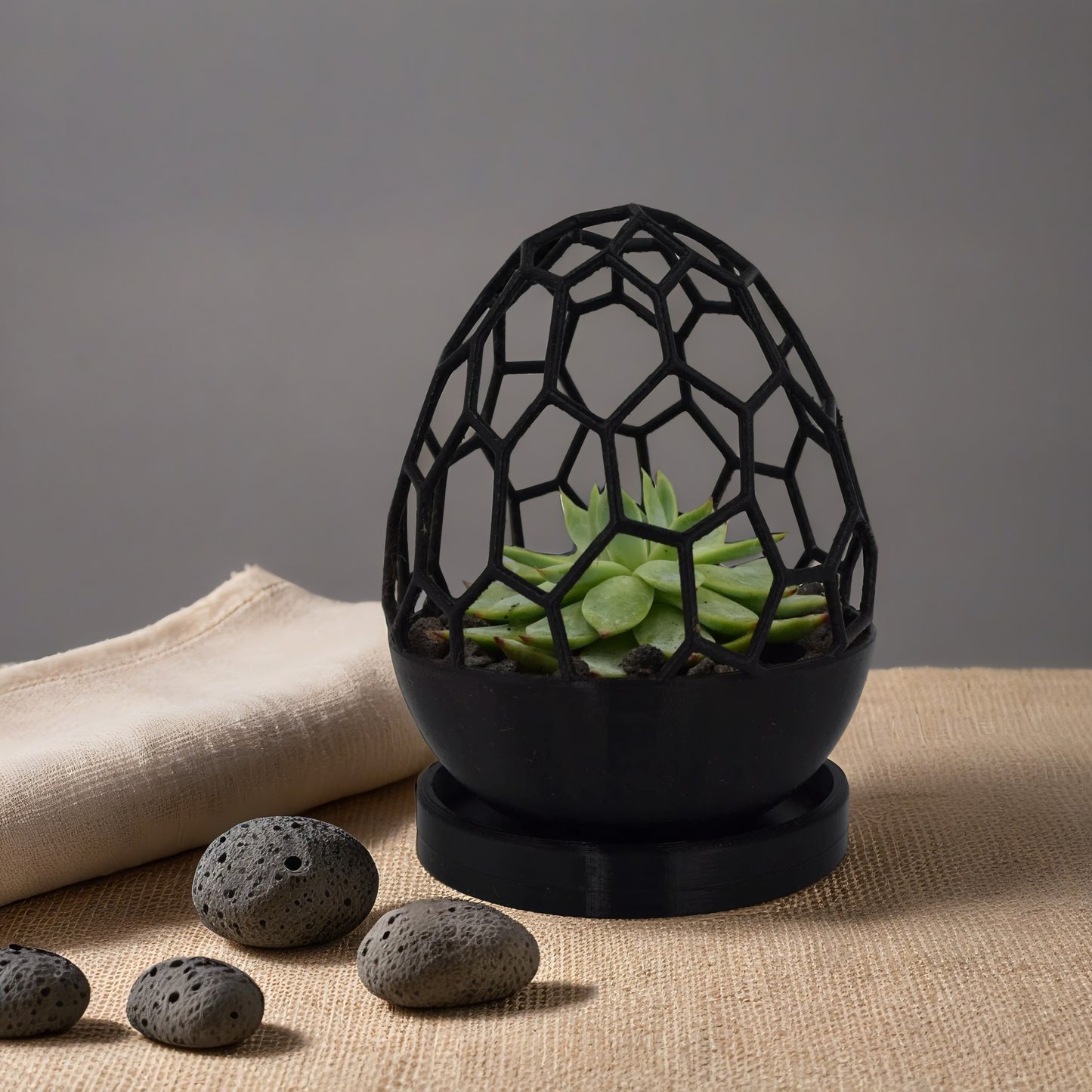 Geometric Egg Planter – Unique Modern Home for Succulents & Cacti